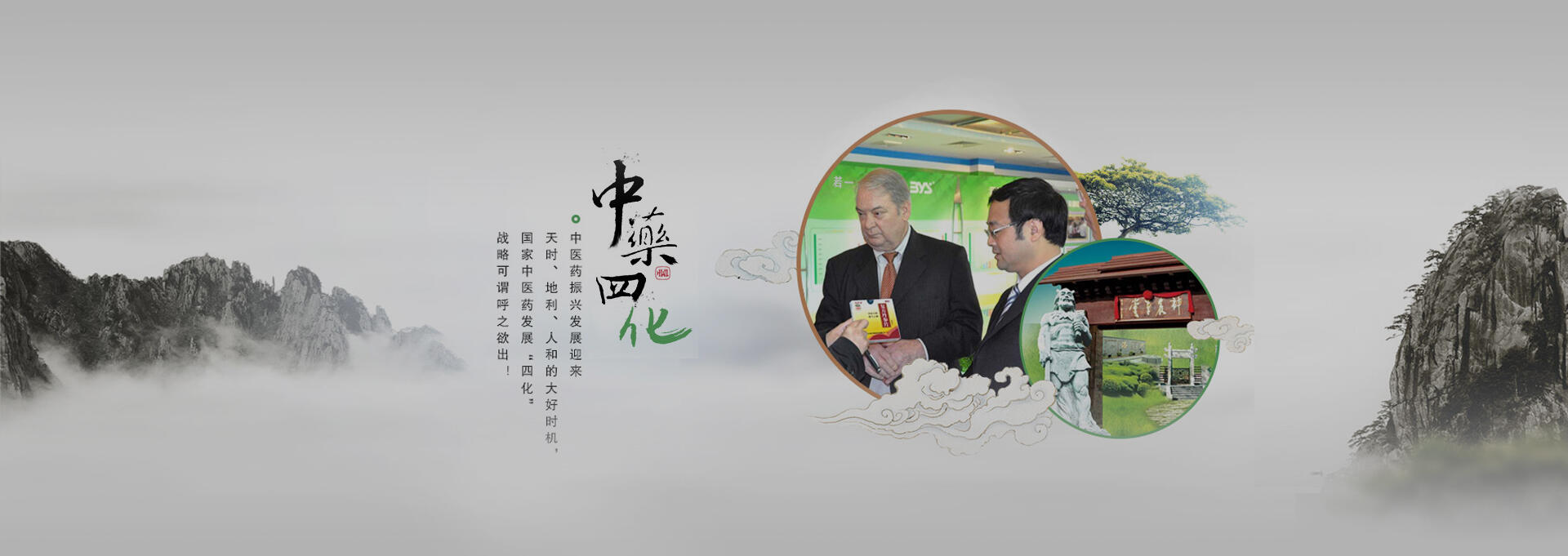 博乐建站-若一医药科技